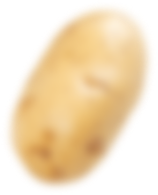 De Aardappelboer